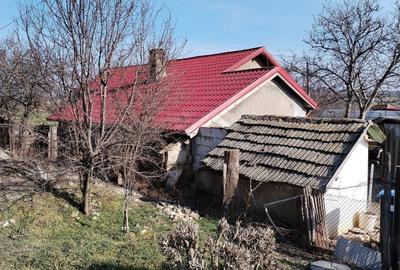 Casă cu 3 camere în Grădina - 1