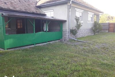 Casă cu 3 camere cu Teren 3200 Mp în Meseșenii de Jos - 3