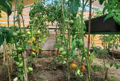 Casă individuală cu 3 camere cu Teren 500 Mp în Periș - 9