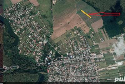 Teren de 7000 mp, în Brănești