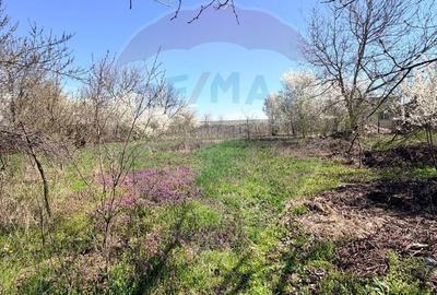 Teren de 3700 mp, în Iancu Jianu - 1