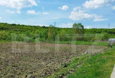 Teren 31 ari, zona linistita - 7