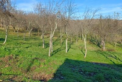 Casă cu 1 camere cu Teren 50 Mp în Central - 6