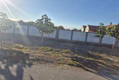 Casa cu teren generos de vanzare, Varia?, jud.Timi? - 3