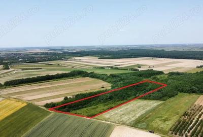 Teren de vanzare - 15.740 mp | Viile Satu Mare | Priveliste superba - 2