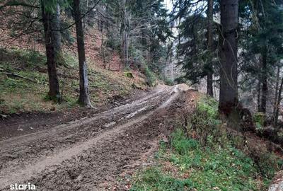 Teren de 2500 mp, în Central