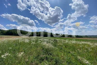 Teren Construcții intravilan de 2562 mp, în Coaș - 3