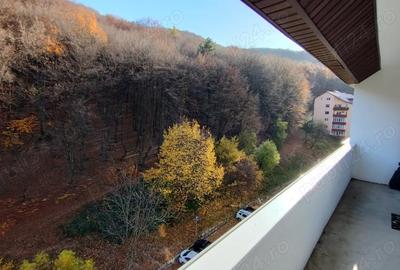 Garsonieră decomandată în Cetatea - 4