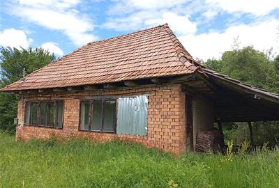 Teren agricol extravilan de 16000 mp, în Borlovenii Noi - 16