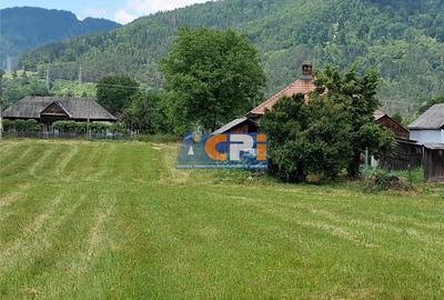 Doua loturi teren plat, Stejaru, DN 15, cu iesire la raul Bistrita - 2