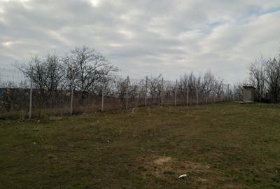 Spațiu comercial, în Copou - 4