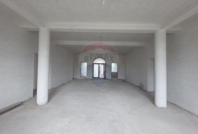 De vanzare proprietate unicat in Sascut - Bacau - 37