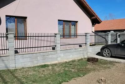Casă cu Teren 280 Mp în Sânmihaiu Român - 3