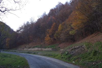 Teren de 9310 mp, în Poiana Mărului - 9