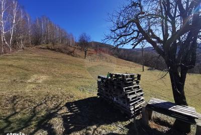 Spațiu comercial, în Munteni - 6