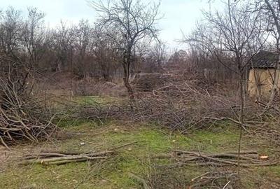 Casă în Florica - 1