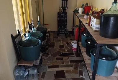 Casă cu 6 camere în Alexandru cel Bun - 9