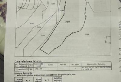 Teren extravilan impadurit, 20424 mp ideal pentru investitie - 9