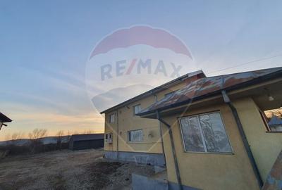 HALA SI SPATII COMERCIALE - DN15-BUHUSI- BACAU - 3