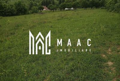 Teren intravilan de 2000 mp, în Sebeșu de Jos - 4