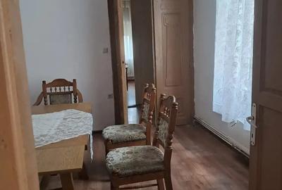 Casă cu 5 camere cu Teren 4000 Mp în Lugoj - 3