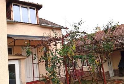 Casă cu 6 camere cu Teren 2880 Mp în Șagu - 17