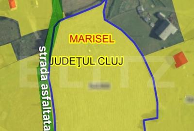 Teren de 12474 mp, în Mărișel - 1