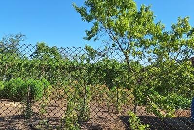 Vând casă + teren agricol Vând casă + teren agricol - 12