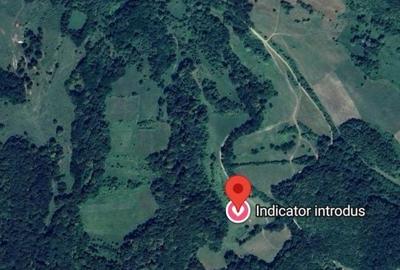 Teren de 18000 mp, în Mihăileni - 5