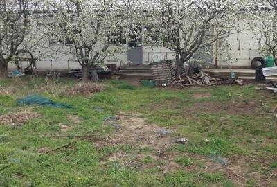 Casă în Chiscani - 3