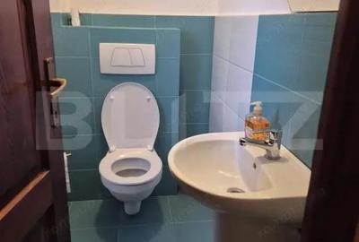 Casa de vanzare in Corunca, ideala pentru 2 familii sau pensiune - 16