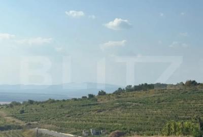 Casă cu 2 camere cu Teren 1700 Mp în Seciu - 1