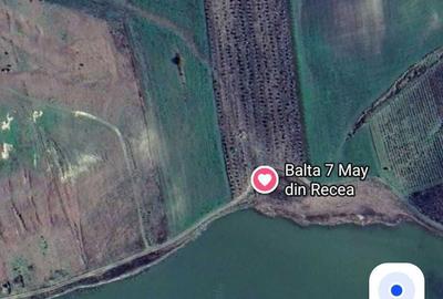 Teren de 130000 mp, în Gropnița - 8