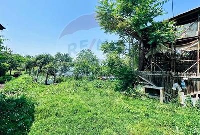 Teren 1400mp cu Livada si Iesire la Lac in Niculesti-Dambovita - 6
