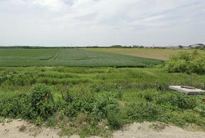 Teren agricol intravilan de 60591 mp, în Central