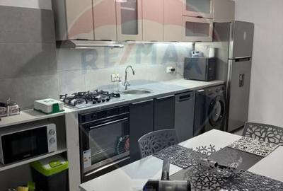 Apartament cu 2 camere decomandat, mobilat în Calea București - 4