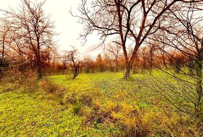 DE VANZARE LOCATIE SUPERBA - 5