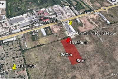 Teren Odai-Straulesti-Piscul Sadului 16.500mp - 1