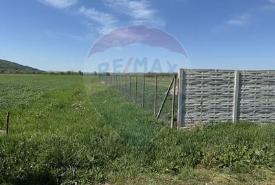 Teren de vanzare 8.700 mp in Livada comuna Iclod - 18