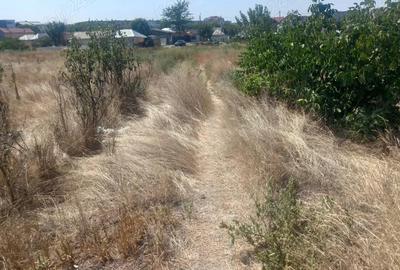 Teren cartier Brosteni-Buzau - 1