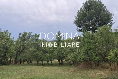 Casă cu 2 camere cu Teren 6770 Mp în Bengești - 3
