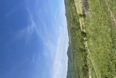 Vand teren extravilan - 5