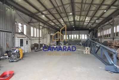Spatiu industrial - hala productie si depozitare - PUCIOASA - 8