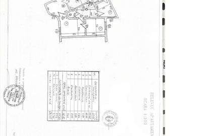 Apartament cu 3 camere decomandat în Parcul Carol - 17