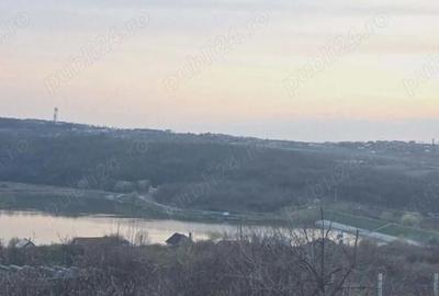 Teren de 504 mp, în Paleu - 6