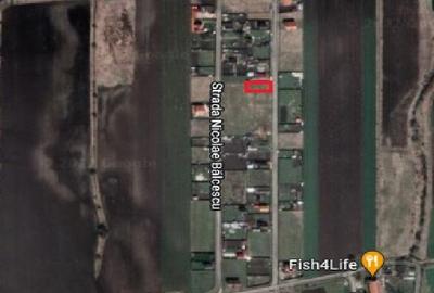 Teren Construcții intravilan de 50 mp, în Hărman