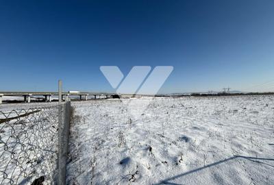 Teren agricol de 4200 mp, în Periferie - 2