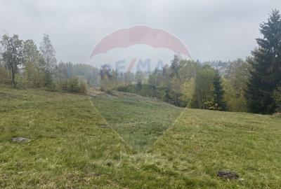 Teren Construcții intravilan de 8119 mp, în Călățele - 10