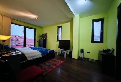 Vila S+P+1+M-318 m2 utili cu 1820 m2 teren situata vis a vis Lidl,Penny,Kaufland - 32