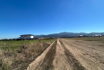 Teren Intravilan Cristian Teren Intravilan Cristian - 5